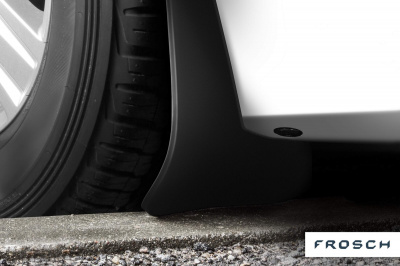FROSCH6319E10