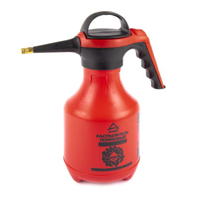 Картинка с сайта