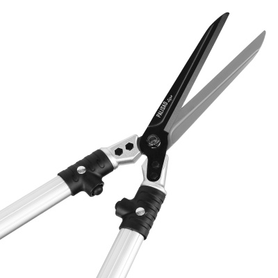 605945_005