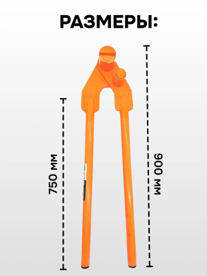 MPcard-1740839226779